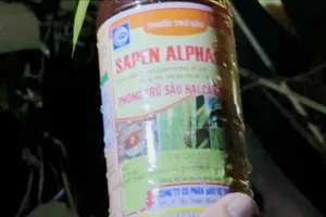 Đổ thuốc trừ sâu xuống sông Đồng Nai bắt tôm: Công ty Cấp nước Đồng Nai nói gì?