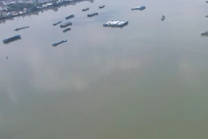 Tìm tung tích thi thể người đàn ông trôi sông Đồng Nai