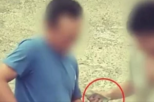 Truy tố nhóm 'cò' bán logo tiền tỉ, bảo kê xe quá tải qua trạm CSGT ở Đồng Nai 