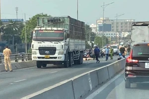 2 người tử vong thương tâm trên cầu vượt ở Đồng Nai 