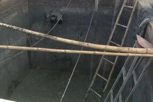 3 người trong gia đình tử vong dưới hố ga chuồng heo 