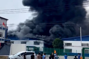 Cháy dữ dội 1 nhà máy trong Khu công nghiệp ở Đồng Nai