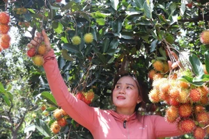 Nhộn nhịp lễ hội trái cây Long Khánh 