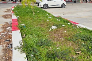 Đồng Nai: Bãi đậu xe lớn nhất TP Biên Hòa nhếch nhác vì không có thùng rác