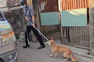Tiếp tục bắt chó thả rông tại 7 phường ở TP Biên Hoà 