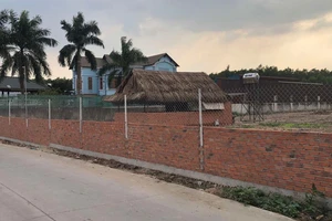 'Ngã ngửa' khi phát hiện gần 4.500 m² đất bị đấu giá để thi hành án cho người khác