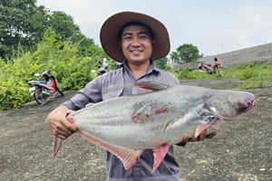 Hàng ngàn người đi săn cá to ở đập Thủy điện Trị An