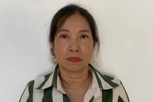 Dùng giấy tờ giả để lừa vay 500 triệu đồng