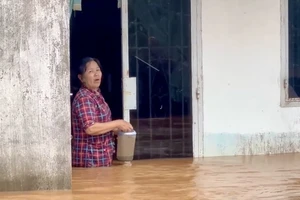 Clip: Cận cảnh nước lũ dâng cao, chảy xiết ở Đồng Nai