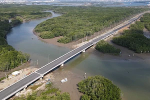 Công an điều tra dấu hiệu phá rừng khi xây cảng biển ở Đồng Nai