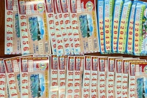 Bắt kẻ cướp giật cọc vé số của người đi bán dạo 