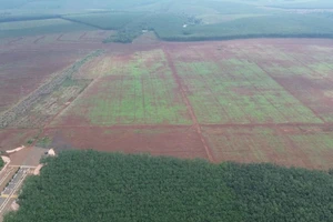 Đấu giá khu đất cụm công nghiệp Long Giao với mức khởi điểm hơn 788 tỉ đồng 