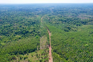 Đề xuất làm đường trên cao nối tỉnh Đồng Nai với Bình Phước