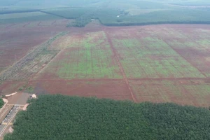 Chốt ngày đấu giá đất cụm công nghiệp 56 ha, giá khởi điểm gần 789 tỉ đồng ở Đồng Nai