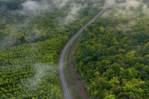 Đồng Nai làm đường trên cao 13 km xuyên rừng Mã Đà