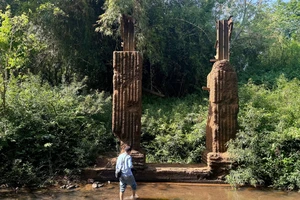 Thuê ô tô đưa đón cán bộ từ tỉnh Bình Phước qua Đồng Nai làm việc