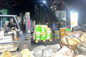 Tiêu hủy hơn 30 tấn thực phẩm không rõ nguồn gốc, bị ô nhiễm vi sinh vật