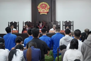 Toàn cảnh phiên xử 87 bị cáo vụ thuê diễn viên làm 'chim mồi' để lừa bán đất