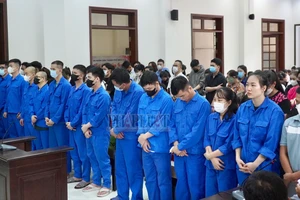 Xét xử 87 bị cáo vụ thuê diễn viên làm 'chim mồi' để lừa khách mua đất