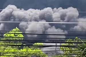 Cháy lớn tại xưởng sản xuất hộp xốp ở Đồng Nai