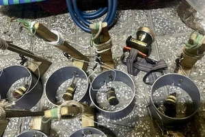 Bắt được 'mèo tặc' trong đêm