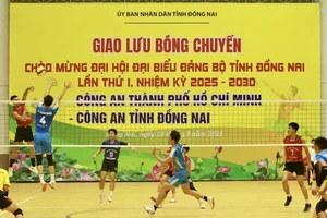 Đồng Nai thành lập Đội tuyển Bóng chuyền Nam