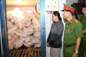 Người phụ nữ mua 12 tấn heo bệnh chết rồi bán ra thị trường 