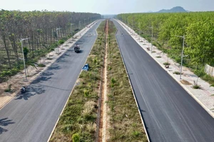 Hình ảnh đường vành đai hơn 1.300 tỉ đồng xuyên rừng cao su ở Đồng Nai