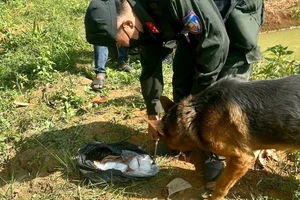 Cảnh khuyển giúp công an tìm thấy 2,5 kg ma túy các nghi phạm cất giấu 