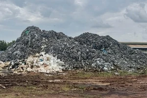 Đồng Nai: Bắt giam hai người tập kết hàng trăm tấn da bò gây ô nhiễm