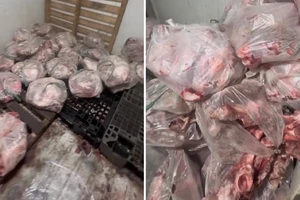 Đồng Nai: Phát hiện hơn nửa tấn thịt heo bốc mùi hôi chuẩn bị bán ra thị trường