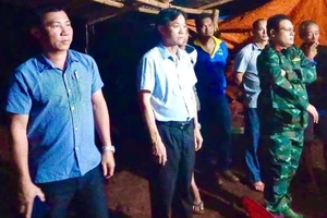 Đồng Nai: Giông lốc làm đổ cây điều, một người tử vong