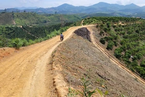 Đưa dân di cư tự do ở Đắk Nông ra khỏi vùng lõi rừng phòng hộ