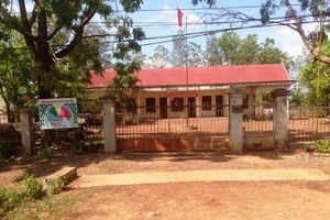 Xử lý trách nhiệm nguyên giám đốc công ty để mất hơn 1.626 ha rừng tự nhiên