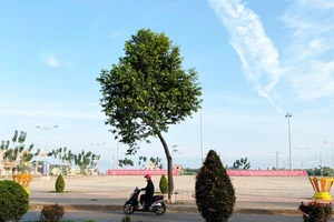 Chậm ban hành kết luận thanh tra, 1 chủ tịch huyện ở Đắk Nông bị phê bình