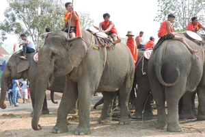 Nơi lưu giữ kỷ vật về 'vua voi' ở Tây Nguyên