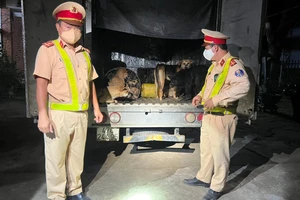 Tạm giữ 5 người trong vụ CSGT phát hiện xe tải chở 28 con chó trộm cắp
