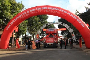 Đắk Lắk xuất khẩu lô hạt mắc ca chính ngạch đầu tiên sang Nhật Bản