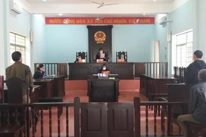 Đắk Lắk: Nhiều bản án bị hủy, sửa do vi phạm thủ tục tố tụng