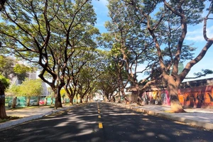 Khám phá đường sách và đường bích họa độc đáo ở Buôn Ma Thuột