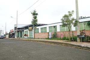 Xác định người chỉ đạo xây tường trước nhà dân để giải quyết tranh chấp ở Đắk Nông