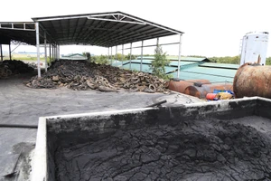 Phạt 3 công ty gây ô nhiễm môi trường ở Đắk Nông