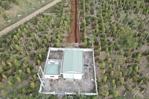 Chủ đầu tư phải chịu trách nhiệm về dự án 13 lần bị vỡ đường ống