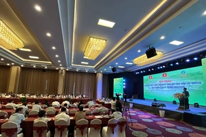 Cần cơ chế mới 'cởi trói' cho rừng ở Tây Nguyên