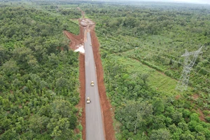 Doanh nghiệp chưa hài lòng cơ chế tố cáo hành vi sai phạm cán bộ