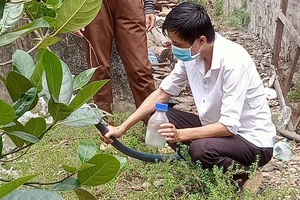 Lần đầu xuất hiện vi khuẩn ăn thịt người ở Đắk Nông