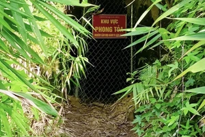 Ba người tử vong trong hầm vàng 