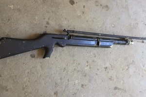 Mang súng hơi đi săn, 1 người bị bắn hỏng mắt