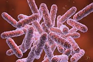 Đắk Lắk: Bé 2 tuổi tử vong vì mắc bệnh vi khuẩn ăn thịt người