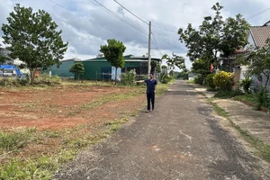 Đắk Nông: 110 trường hợp được giao đất nhưng chưa thể cấp sổ